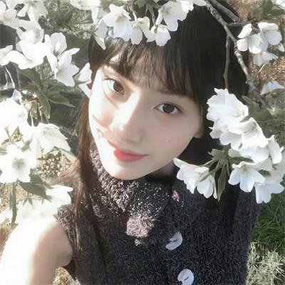 莲花攻略手册 动态漫画